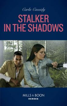 Stalker In the Shadows