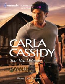 Tool Belt Defender Tool Belt Defender