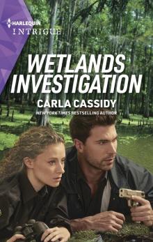 Wetlands Investigation Wetlands Investigation