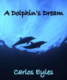 A Dolphins Dream
