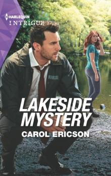 Lakeside Mystery Lakeside Mystery