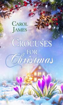 Crocuses for Christmas Crocuses for Christmas