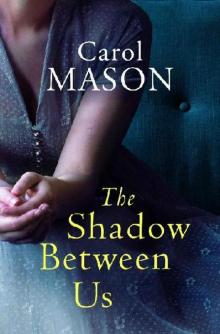 The Shadow Between Us The Shadow Between Us