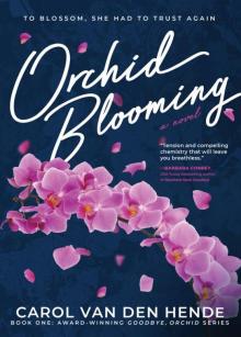 Orchid Blooming Orchid Blooming