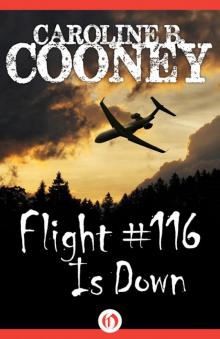 Flight #116 Is Down Flight #116 Is Down