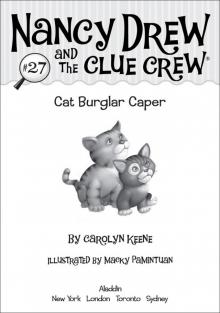 Cat Burglar Caper