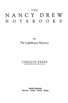 The Lighthouse Mystery The Lighthouse Mystery