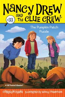 The Pumpkin Patch Puzzle The Pumpkin Patch Puzzle