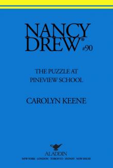 The Puzzle at Pineview School