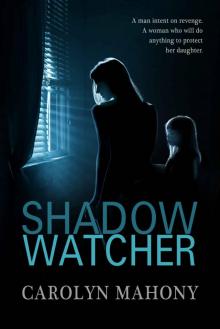 Shadow Watcher