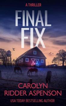 Final Fix (Rachel Ryder Book 8) Final Fix (Rachel Ryder Book 8)