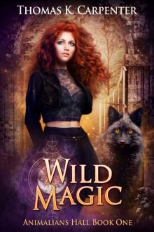 Wild Magic Wild Magic