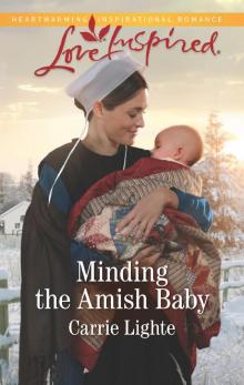 Minding the Amish Baby Minding the Amish Baby