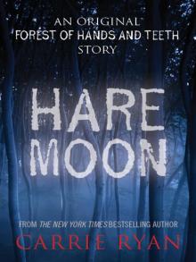 Hare Moon Hare Moon