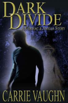 Dark Divide: A Cormac and Amelia Story Dark Divide: A Cormac and Amelia Story