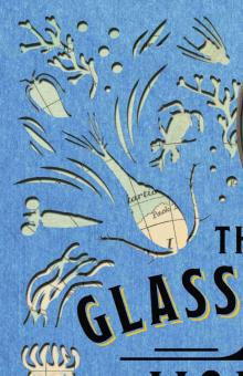 The Glass Slide World (The Naturalist Society)