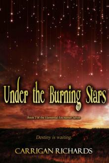 Under the Burning Stars Under the Burning Stars