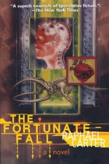 The Fortunate Fall The Fortunate Fall
