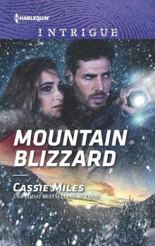 Mountain Blizzard Mountain Blizzard