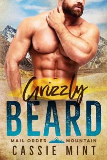 Grizzly Beard (Mail Order Mountain Book 1)