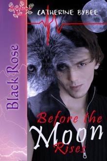 Before the Moon Rises Before the Moon Rises