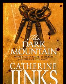 The Dark Mountain The Dark Mountain
