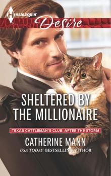 Sheltered by the Millionaire Sheltered by the Millionaire