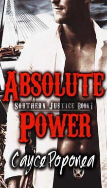 Absolute Power (Southern Justice #1
