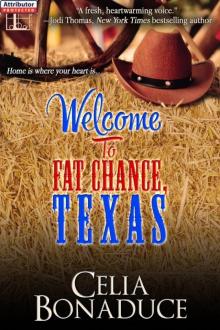 Welcome to Fat Chance, Texas