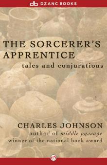 Sorcerer's Apprentice
