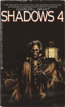 Shadows 4