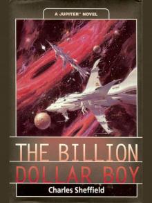 The Billion Dollar Boy The Billion Dollar Boy