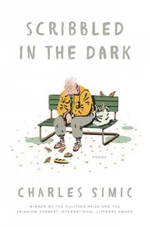 Scribbled in the Dark