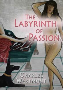 The Labyrinth of Passion (romantic experiences) The Labyrinth of Passion (romantic experiences)