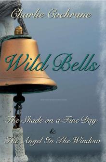 Wild Bells: The Shade on a Fine Day & The Angel in the Window
