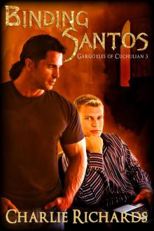 BindingSantos
