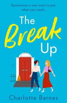 The Break Up The Break Up
