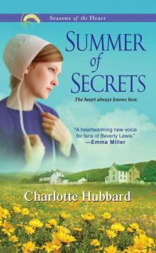 Summer of Secrets Summer of Secrets