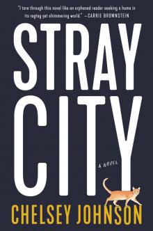 Stray City Stray City