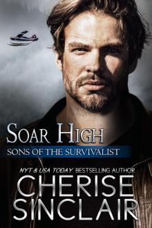 Soar High Soar High