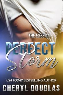 Perfect Storm (The Exes #1) Perfect Storm (The Exes #1)