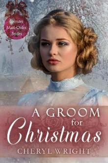 A Groom for Christmas (Spinster Mail-Order Brides Book 9) A Groom for Christmas (Spinster Mail-Order Brides Book 9)