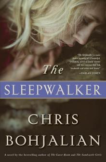 The Sleepwalker The Sleepwalker