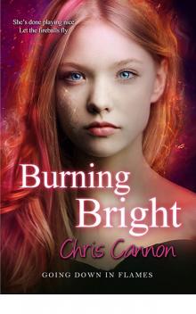 Burning Bright (Going Down in Flames)