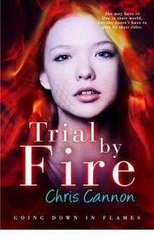 Trial By Fire (Going Down in Flames)