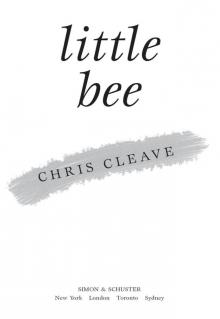 Little Bee: A Novel