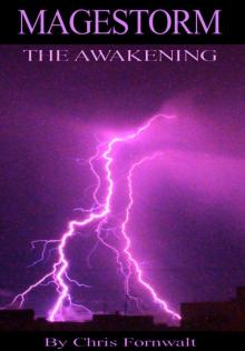 Magestorm: The Awakening