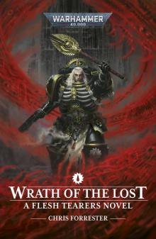 Wrath Of The Lost Wrath Of The Lost
