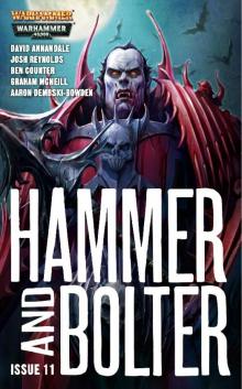 Hammer and Bolter 11