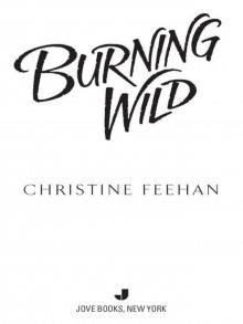 Burning Wild